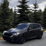 Black BMW SUV parked on a paved lot with evergreen trees in the background, daytime.